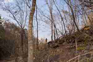 Foto gratuita hombre en bosque montañoso