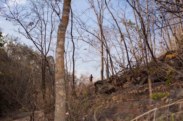 Hombre en bosque montañoso