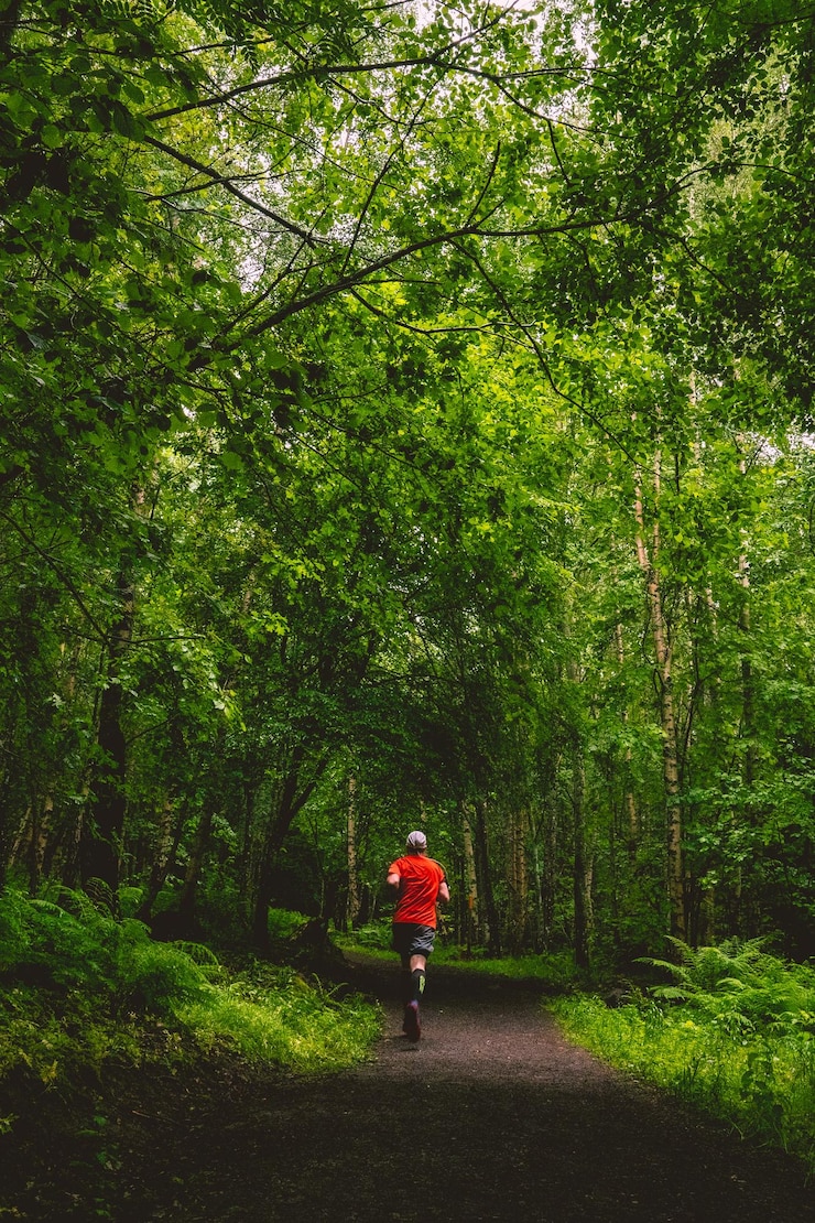 Foto gratuito hombre corriendo en un callejón en el bosque verde fresco