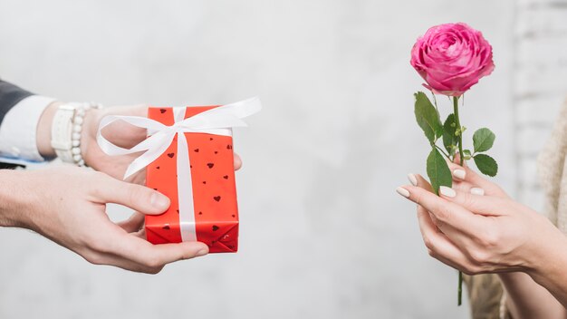 Hombre de la cosecha que da el regalo a la mujer con la rosa