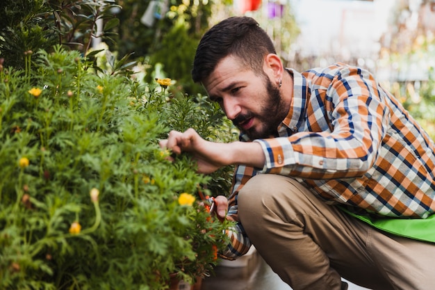 Hombre cuidando las plantas en invernadero