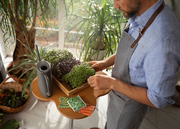 Foto gratuita hombre cultivando y cultivando plantas en un jardín interior