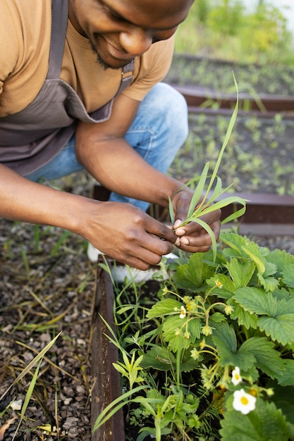 Foto gratuita hombre disfrutando de la agricultura de interior