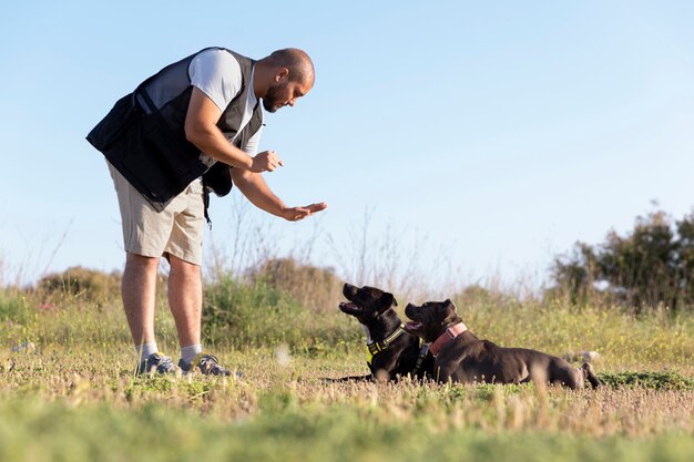Hombre entrenando a sus dos perros al aire libre