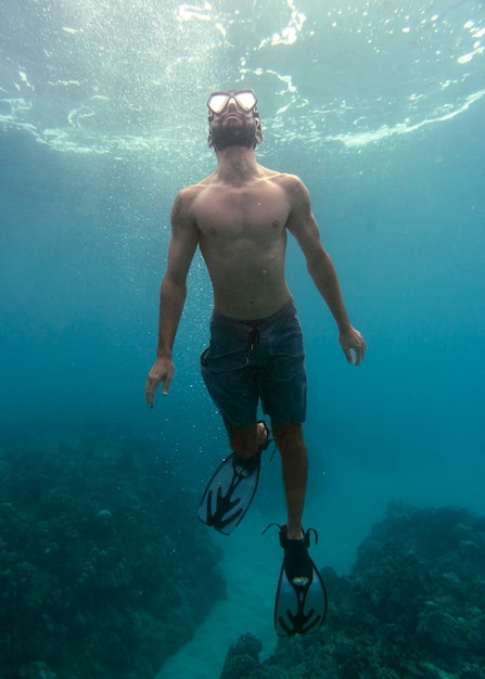 Foto gratuita hombre con equipo de buceo nadando en el océano