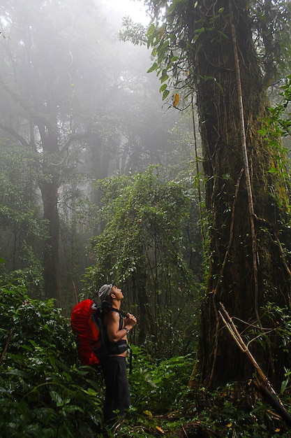 Hombre con equipo de senderismo caminando en bosque de mouton