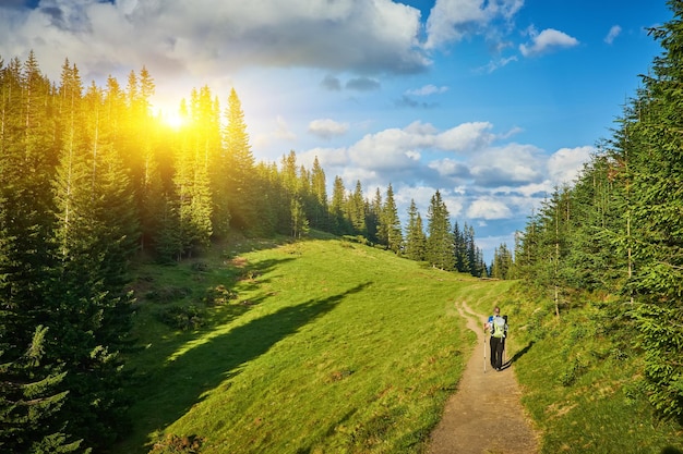 Foto gratuita hombre con equipo de senderismo caminando en el bosque