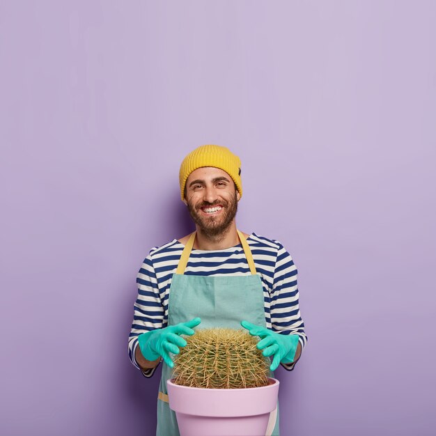 Hombre feliz cultiva cactus muy grandes en casa, toca plantas suculentas, usa guantes de goma, uniforme, está interesado en la botánica