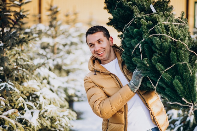 Hombre guapo eligiendo un árbol de navidad en un invernadero