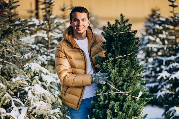 Hombre guapo eligiendo un árbol de navidad en un invernadero