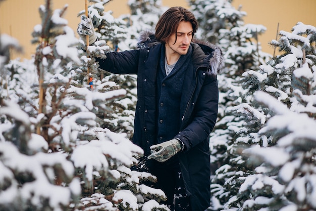 Hombre guapo eligiendo un árbol de navidad