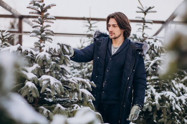 Hombre guapo eligiendo un árbol de navidad