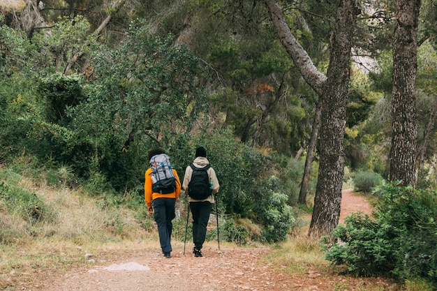 Hombre haciendo trekking en la naturaleza