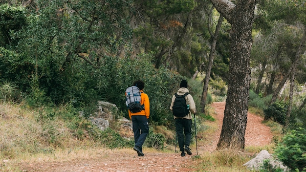 Foto gratuita hombre haciendo trekking en la naturaleza