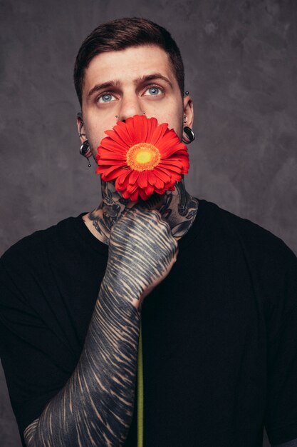 Hombre joven contemplado con la nariz perforada y orejas sosteniendo una flor de gerbera roja frente a su boca contra el fondo gris