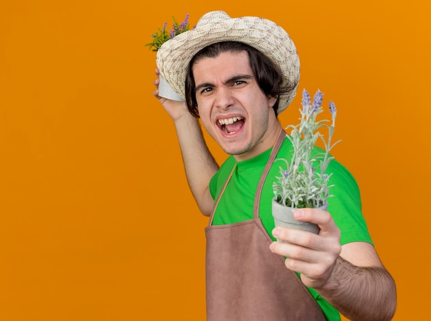 Hombre joven jardinero en delantal y sombrero sosteniendo plantas en macetas mirando gritando con cara enojada volviéndose salvaje parado sobre pared naranja