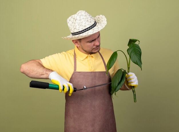 Hombre joven jardinero vestido con mono y sombrero en guantes de trabajo sosteniendo la planta cortándola con podadoras de setos