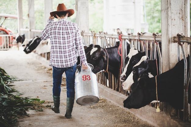 Hombre joven o agricultor con un balde caminando por el establo y las vacas en una granja lechera