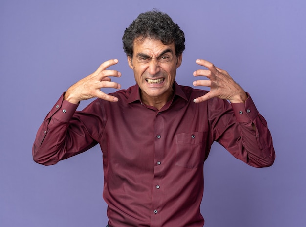 Hombre mayor enojado en camisa púrpura levantando los brazos gritando loco loco parado sobre azul