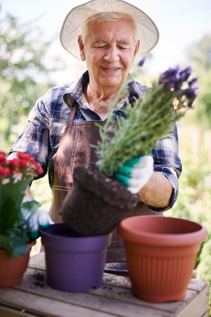 Hombre mayor que trabaja en el campo con flores