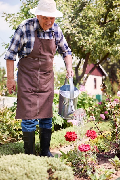 Hombre mayor que trabaja en el campo con flores