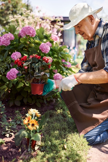 Hombre mayor que trabaja en el campo con flores