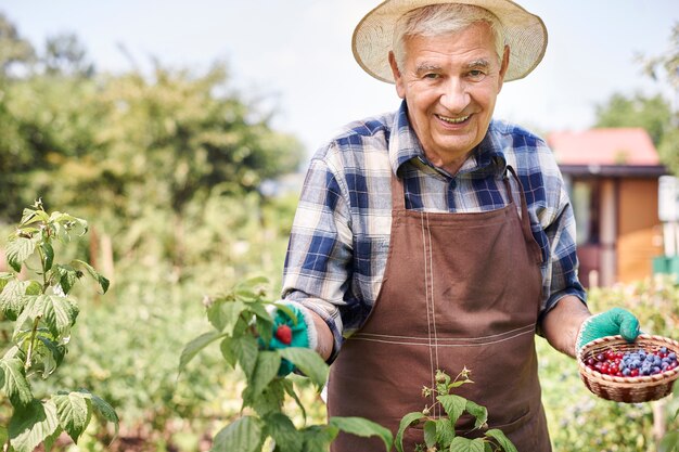 Hombre mayor que trabaja en el campo con frutas