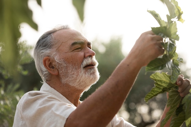 Hombre mayor revisando cultivos en el jardín de su casa rural