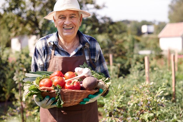 Hombre mayor trabajando en el campo con un cofre de verduras