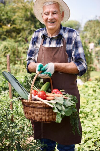 Hombre mayor trabajando en el campo con verduras