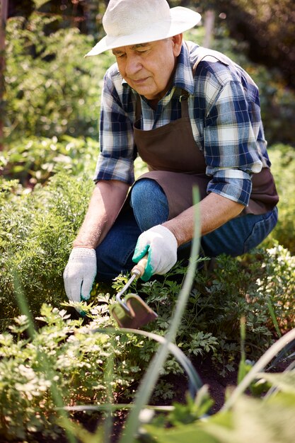 Hombre mayor, trabajando, en el campo