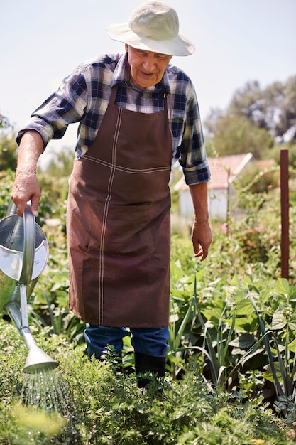 Hombre mayor, trabajando, en el campo