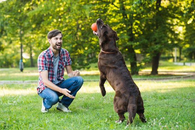 Hombre mirando a su perro sosteniendo la pelota en la boca