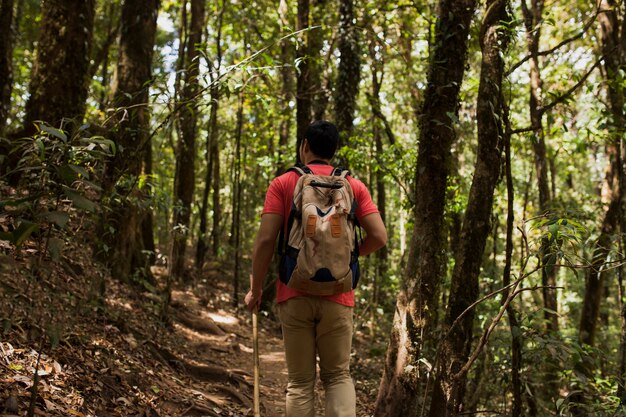 Hombre con mochila en bosque