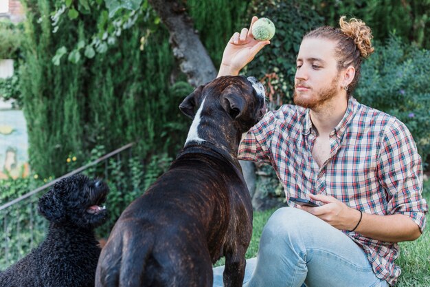 Hombre moderno jugando con perros en jardín