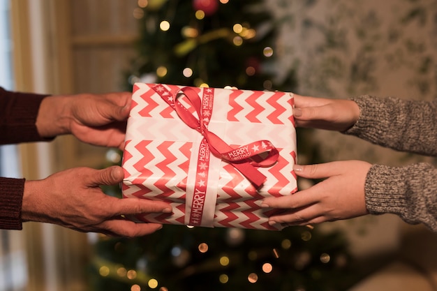 Hombre y mujer con caja de regalo en abrigo cerca de árbol de navidad