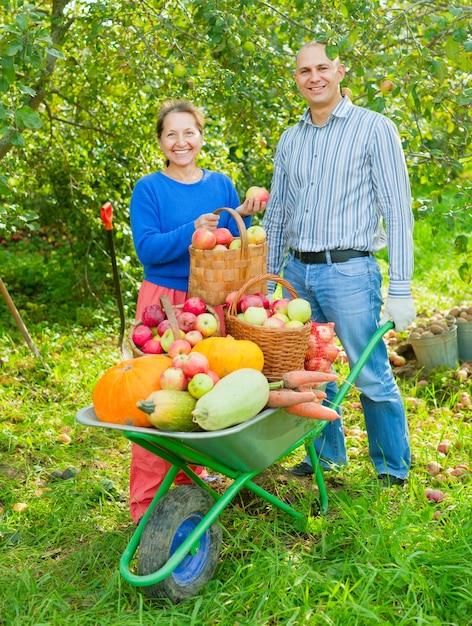 Hombre y mujer con la cosecha en el jardín de verduras