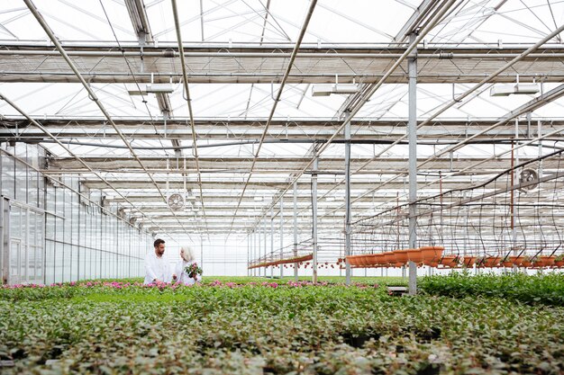 Hombre y mujer hablando mientras trabajaba con plantas