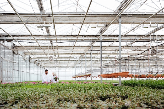 Hombre y mujer hablando mientras trabajaba con plantas