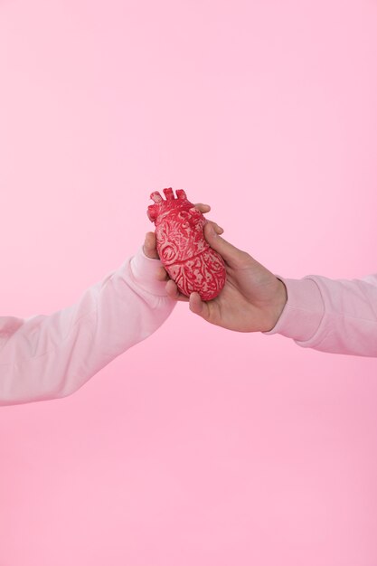 Hombre y mujer sosteniendo modelo de corazón