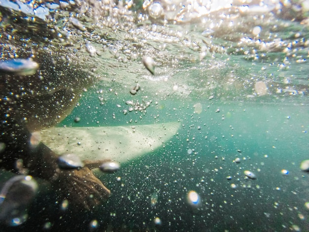 Foto gratuita hombre nadando en la tabla de surf en el océano azul