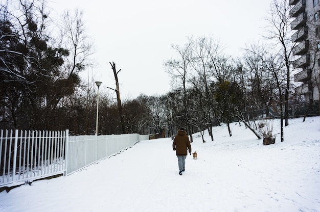 Hombre paseando a su perro sobre un terreno cubierto de nieve durante el invierno