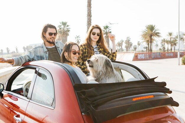 El hombre positivo y las mujeres sonrientes acercan al perro que se inclina hacia fuera del auto