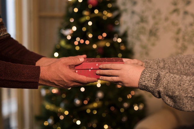 Foto gratuita hombre presentando regalo a mujer cerca de arbol de navidad