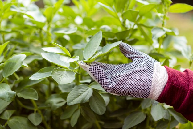 Hombre de primer plano con guantes de jardinería