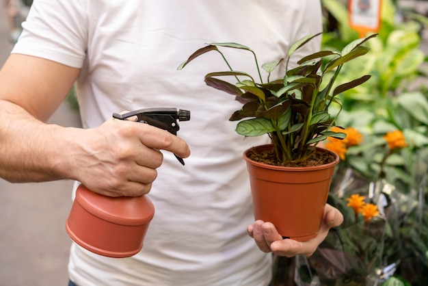 Foto gratuita hombre de primer plano con planta de la casa