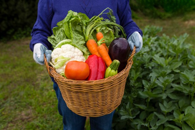 Hombre que sostiene la canasta con verduras