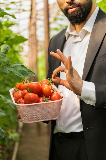 Un hombre que sostiene una cesta de tomates y un gesto ok en el invernadero