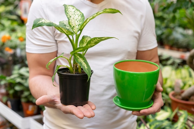 Hombre que sostiene la maceta y la planta de la casa