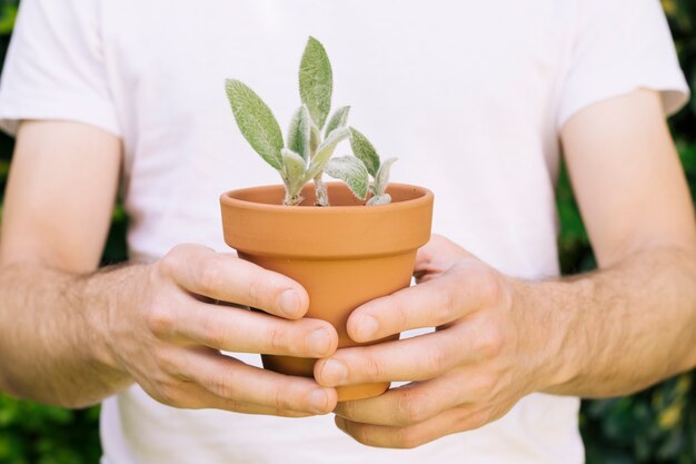 Hombre sin rostro con planta en crecimiento.